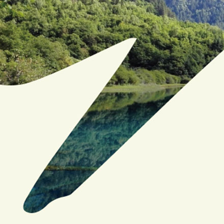 優(yōu)雅的展廳設(shè)計(jì)，展示學(xué)校的實(shí)力和特色