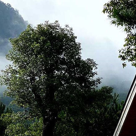 上海松江導向vi設計公司在哪里